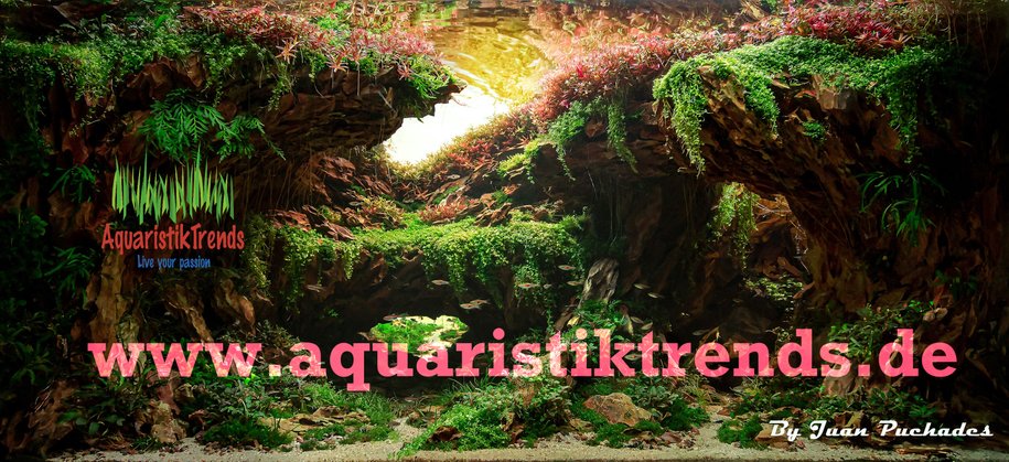 www.aquaristiktrends.de